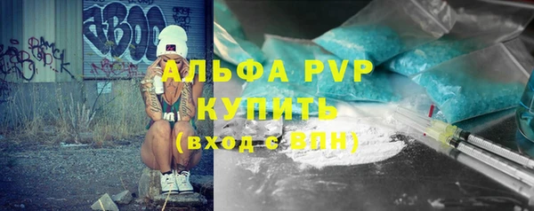 индика Бронницы