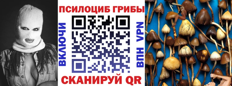 Псилоцибиновые грибы Magic Shrooms  Мурманск 