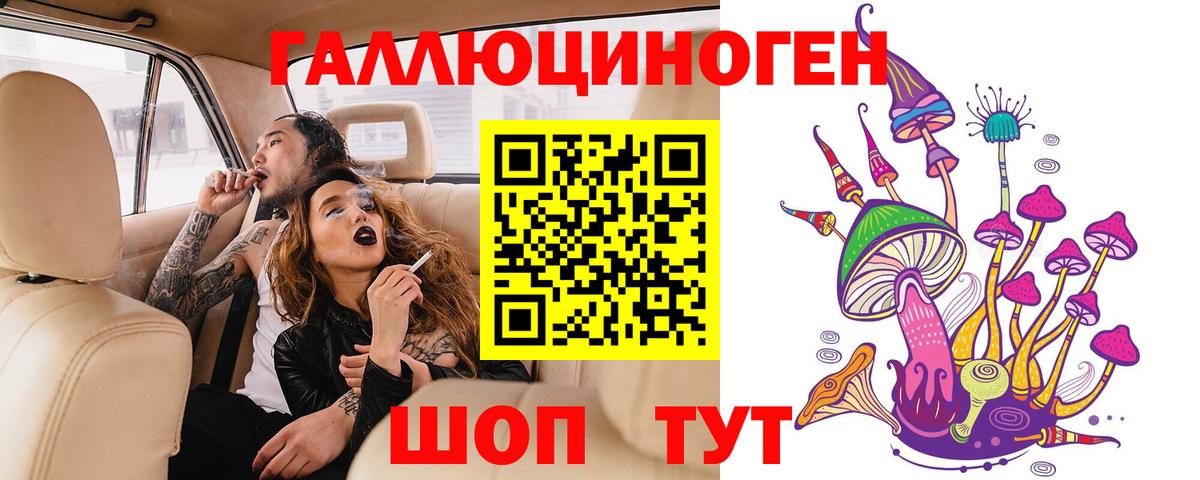 Мурманск  Галлюциногенные грибы GOLDEN TEACHER  Галлюциногенные грибы Psilocybine cubensis  Вход с VPN 