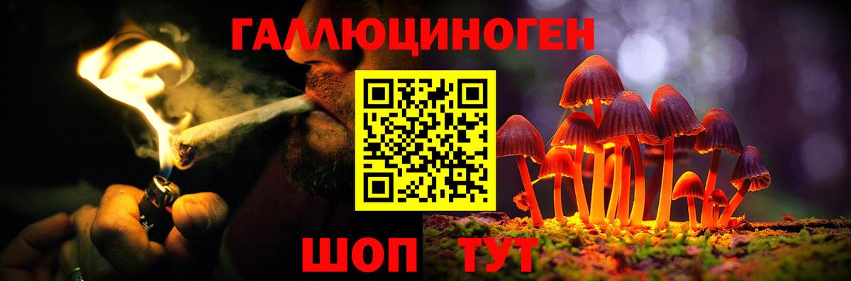 Codein Мурманск