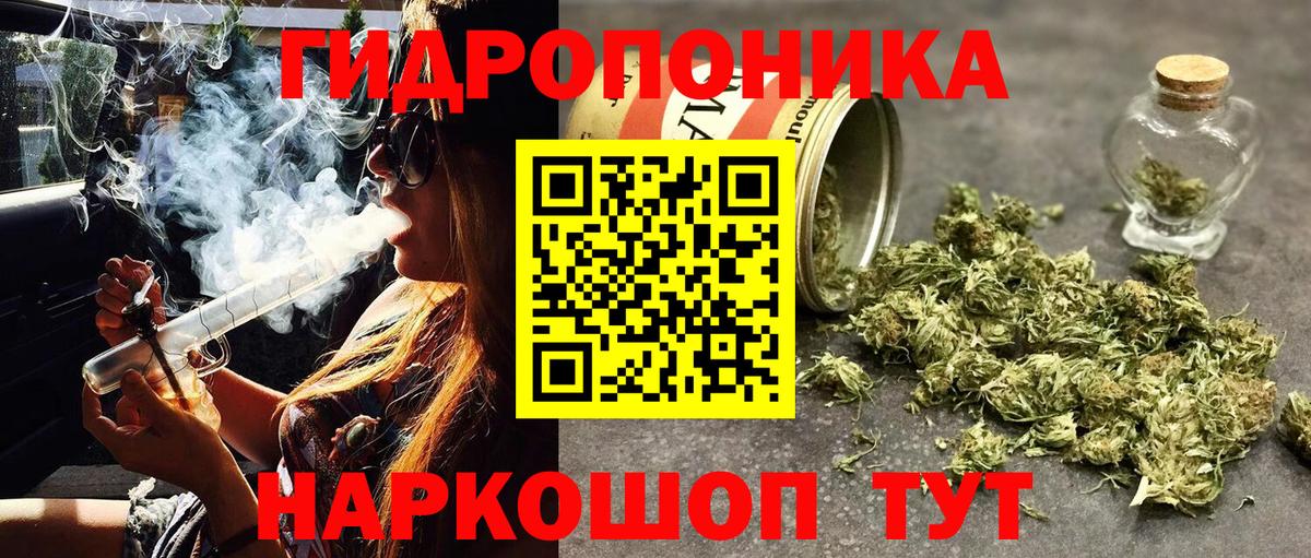 Шишки марихуана индика Мурманск